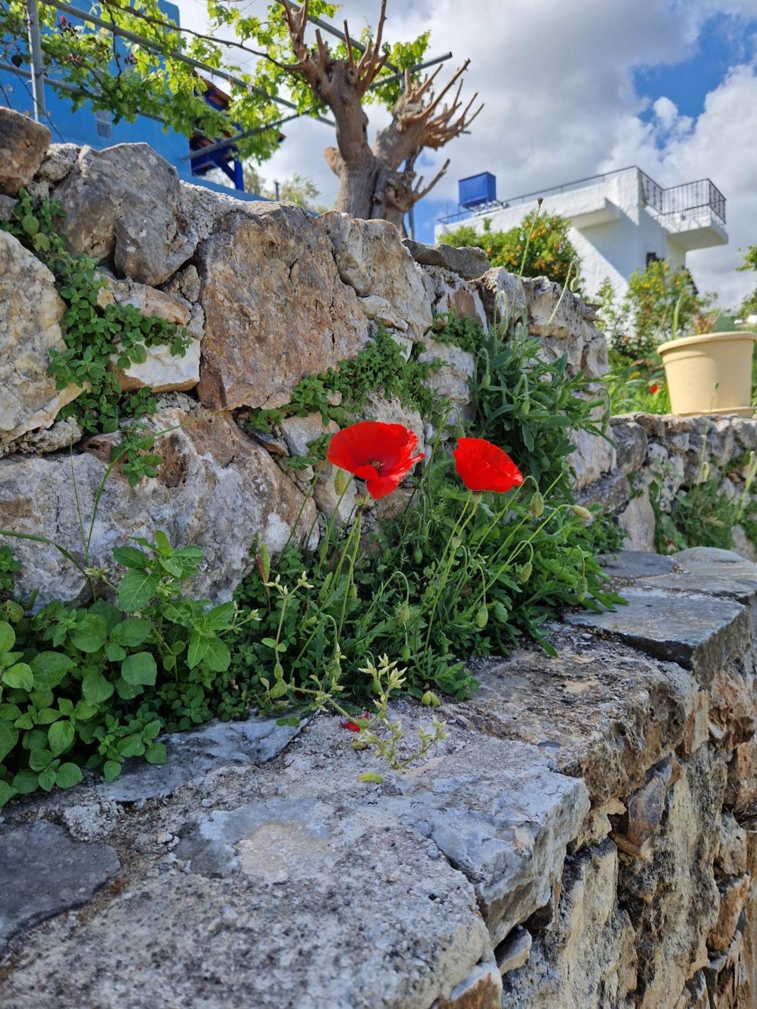 Stefanos Garden Apartment Armenoi  Ngoại thất bức ảnh