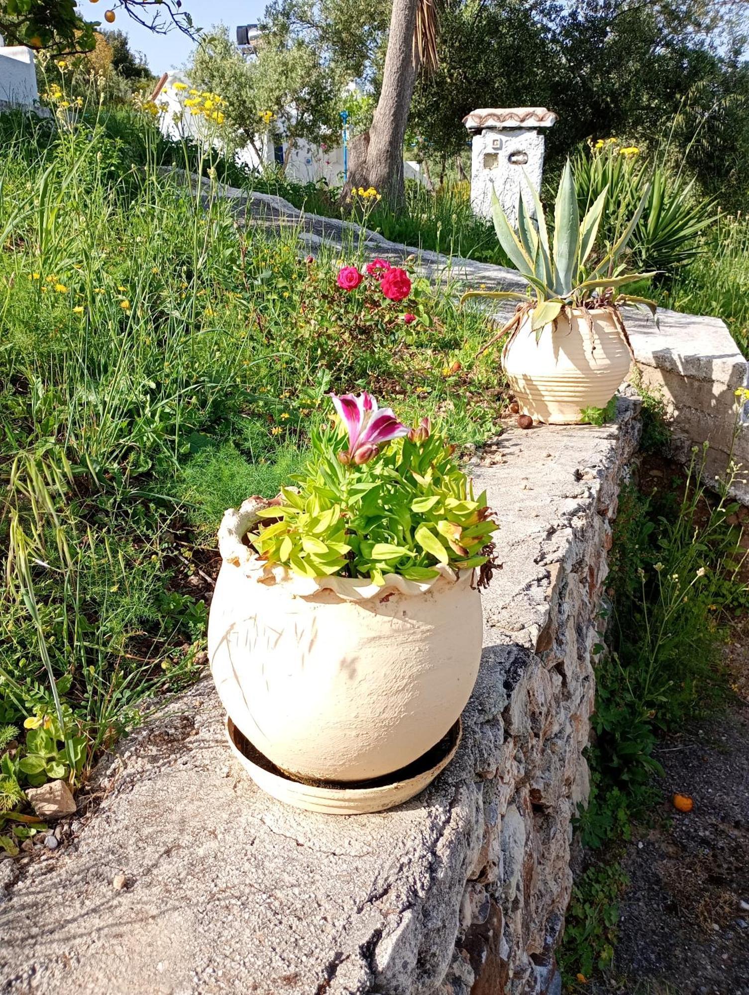 Stefanos Garden Apartment Armenoi  Phòng bức ảnh